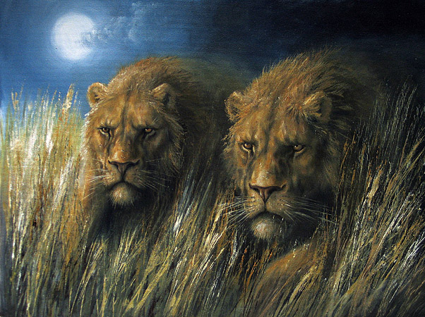Pirschende Löwen